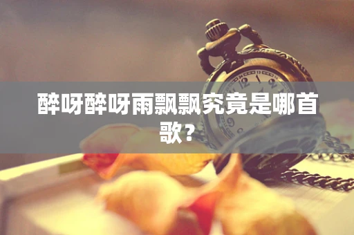 醉呀醉呀雨飘飘究竟是哪首歌？