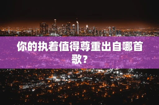 你的执着值得尊重出自哪首歌？