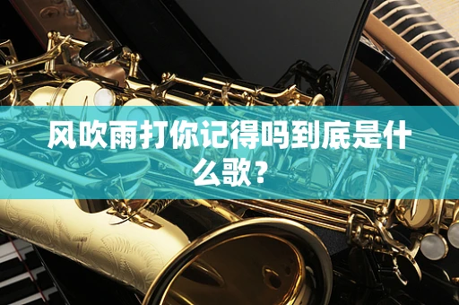 风吹雨打你记得吗到底是什么歌？