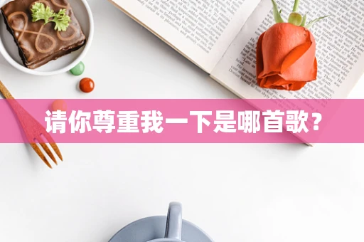 请你尊重我一下是哪首歌？
