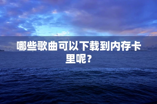 哪些歌曲可以下载到内存卡里呢？