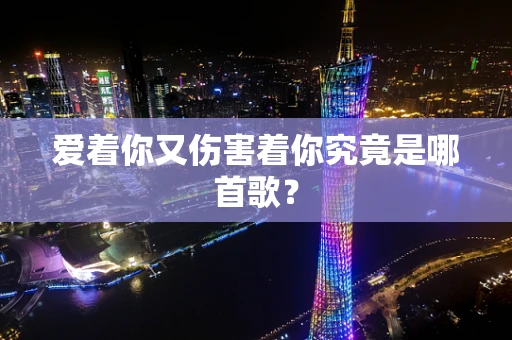 爱着你又伤害着你究竟是哪首歌？