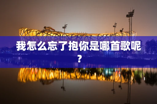 我怎么忘了抱你是哪首歌呢？