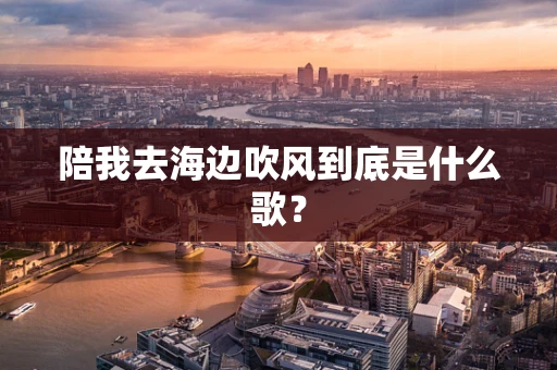 陪我去海边吹风到底是什么歌？