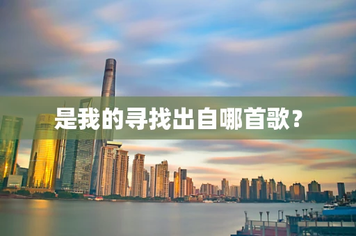 是我的寻找出自哪首歌？