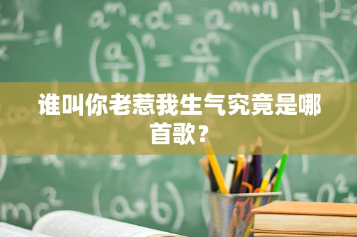 谁叫你老惹我生气究竟是哪首歌？