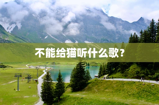 不能给猫听什么歌？