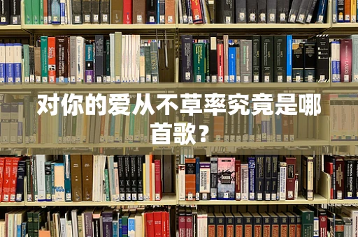 对你的爱从不草率究竟是哪首歌？