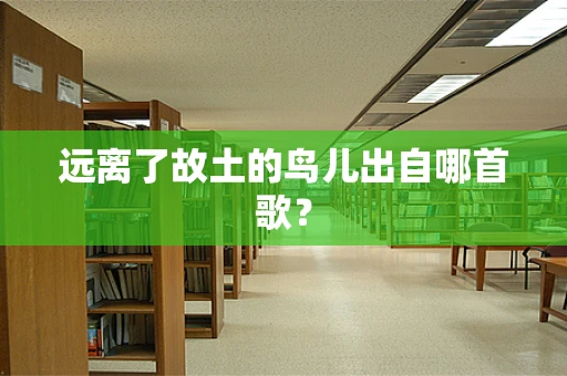 远离了故土的鸟儿出自哪首歌？
