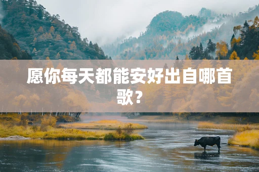 愿你每天都能安好出自哪首歌？