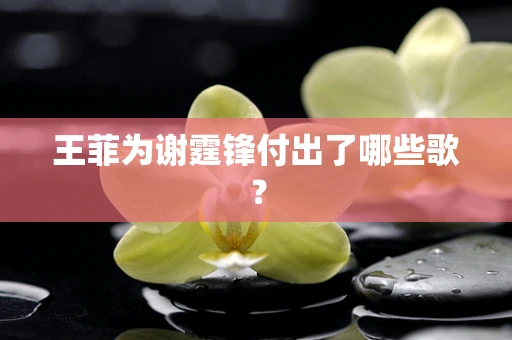 王菲为谢霆锋付出了哪些歌？