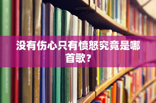 没有伤心只有愤怒究竟是哪首歌？