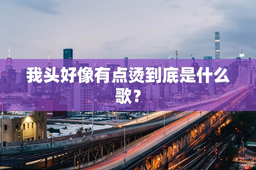 我头好像有点烫到底是什么歌？