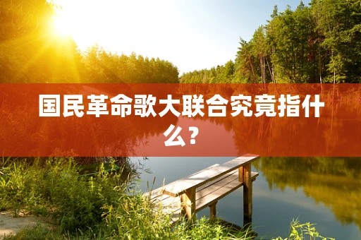 国民革命歌大联合究竟指什么？
