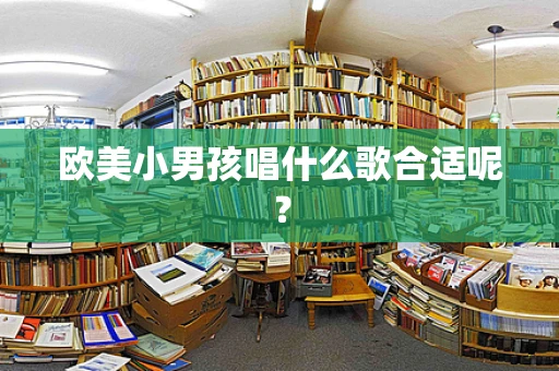 欧美小男孩唱什么歌合适呢？