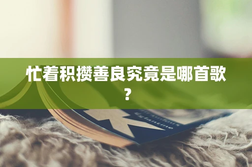 忙着积攒善良究竟是哪首歌？