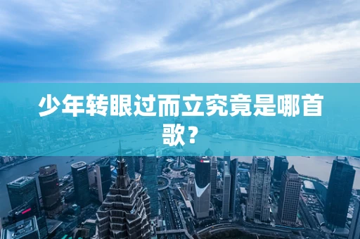 少年转眼过而立究竟是哪首歌？