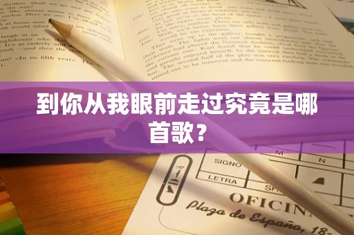 到你从我眼前走过究竟是哪首歌？