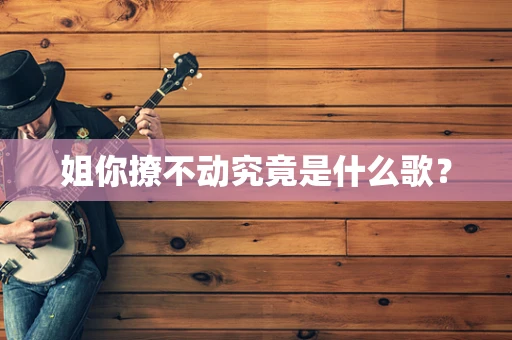 姐你撩不动究竟是什么歌？