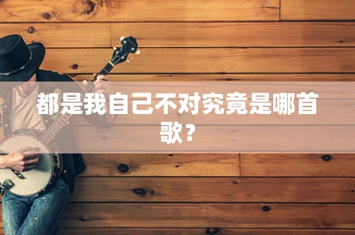 都是我自己不对究竟是哪首歌？
