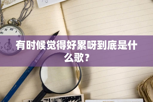 有时候觉得好累呀到底是什么歌？