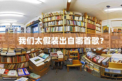 我们太假装出自哪首歌？