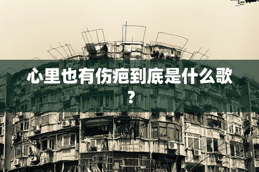心里也有伤疤到底是什么歌？