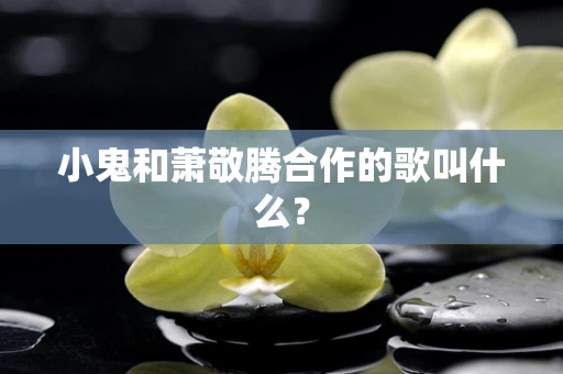 小鬼和萧敬腾合作的歌叫什么？
