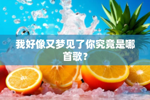 我好像又梦见了你究竟是哪首歌？