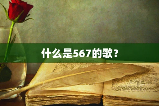什么是567的歌？