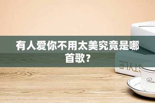有人爱你不用太美究竟是哪首歌？