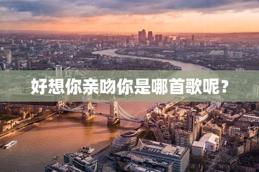 好想你亲吻你是哪首歌呢？