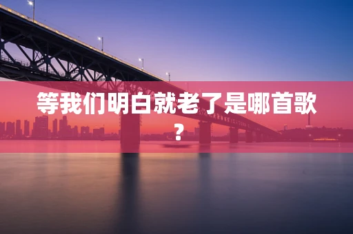 等我们明白就老了是哪首歌？
