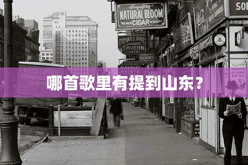 哪首歌里有提到山东？