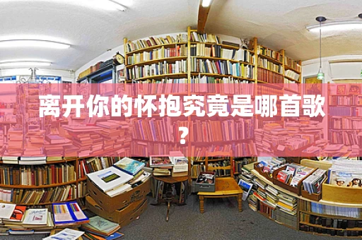 离开你的怀抱究竟是哪首歌？