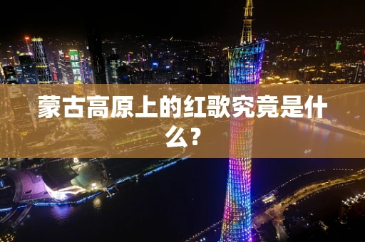 蒙古高原上的红歌究竟是什么？