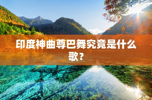印度神曲尊巴舞究竟是什么歌？