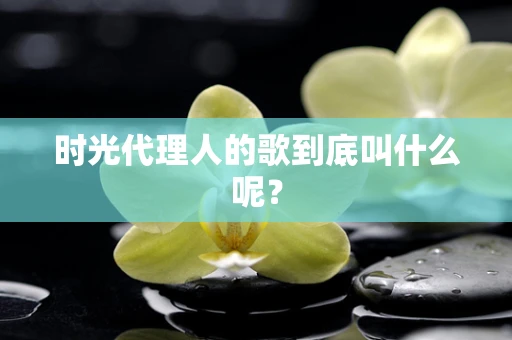 时光代理人的歌到底叫什么呢？