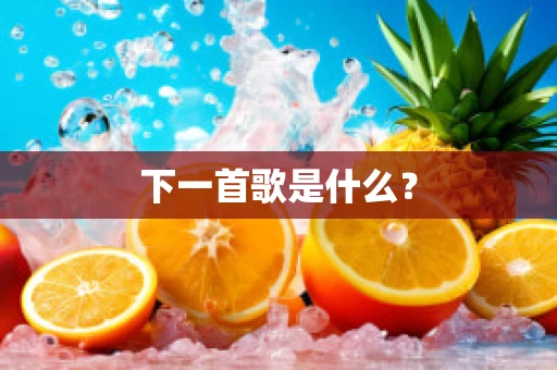 下一首歌是什么？