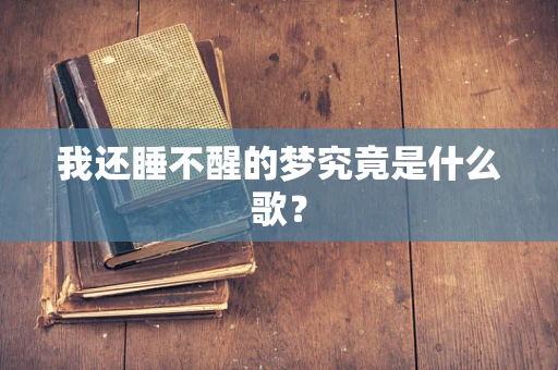 我还睡不醒的梦究竟是什么歌？
