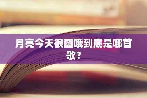 月亮今天很圆哦到底是哪首歌？