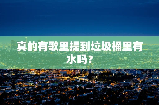 真的有歌里提到垃圾桶里有水吗？