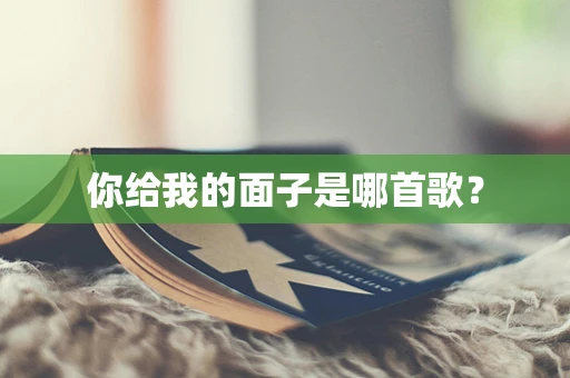 你给我的面子是哪首歌？