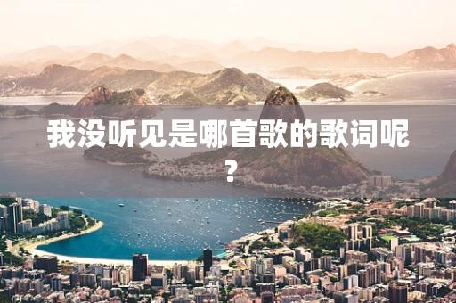 我没听见是哪首歌的歌词呢？