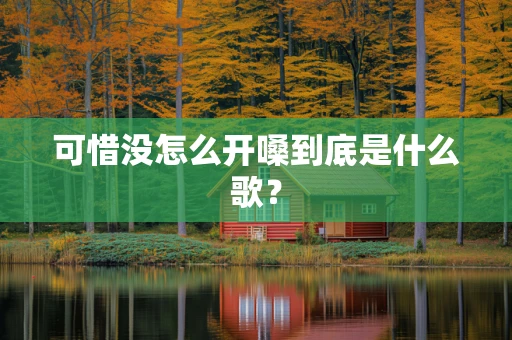 可惜没怎么开嗓到底是什么歌？