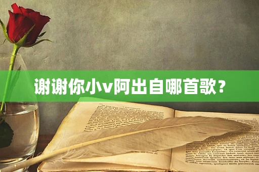 谢谢你小v阿出自哪首歌？