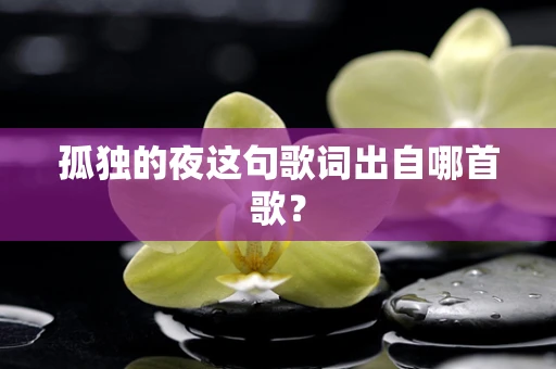 孤独的夜这句歌词出自哪首歌？