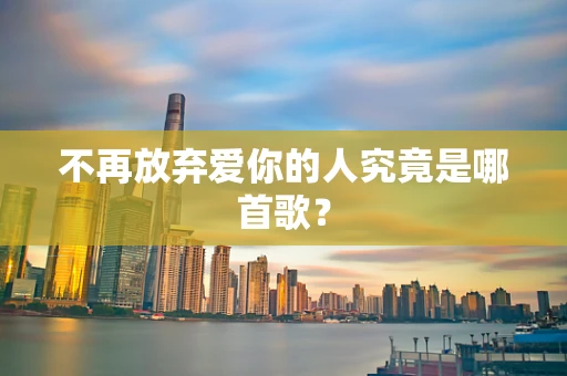 不再放弃爱你的人究竟是哪首歌？