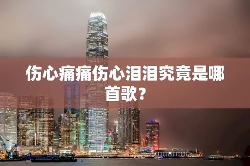 伤心痛痛伤心泪泪究竟是哪首歌？