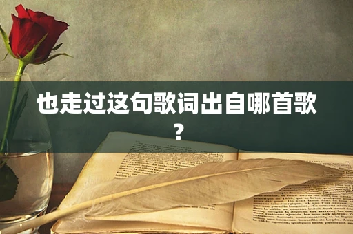 也走过这句歌词出自哪首歌？